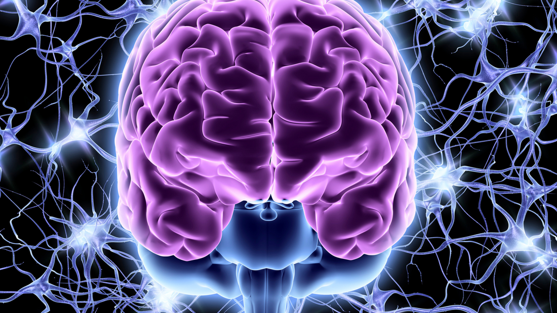 What’s the Link Between Breathing, the Vagus Nerve, and Anxiety Relief?
