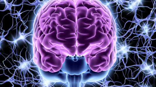 What’s the Link Between Breathing, the Vagus Nerve, and Anxiety Relief?